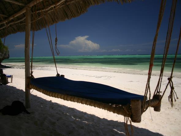 Shooting Star Lodge - Beach Dinner 